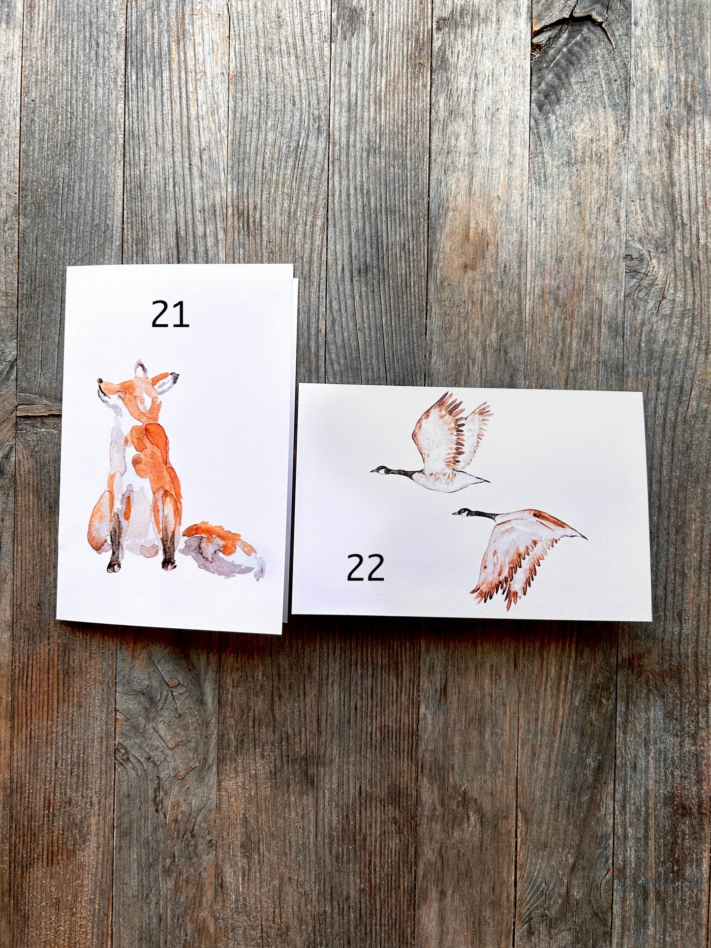 BUILD YOUR OWN set of 5 Blank Greeting Cards and save $