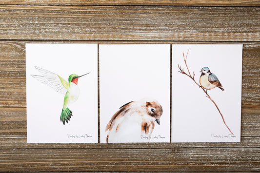 Art Prints, Birds, Choose from 3 Options